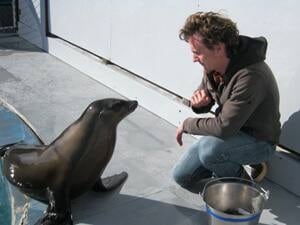 sm-300-ronan-the-sea-lion