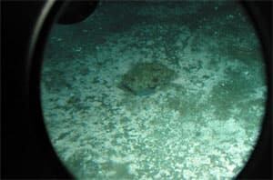 300px-hydrates-seafloor