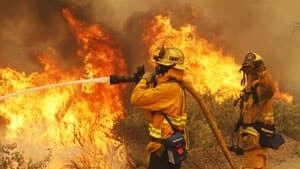 mi-fire-hose-cp-rtxz95b
