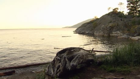 hi-bc-130622-whytecliff-park-west-vancouver-1-6col