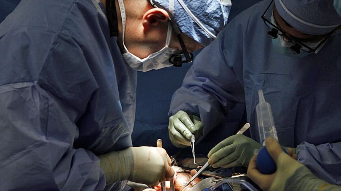 Organ donor canada homosexuals news Agree, organ donor canada homosexuals news precisely does