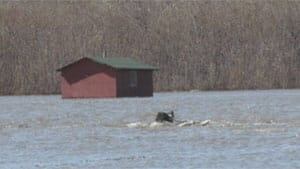 mi-mcpherson-cabin-flood-2