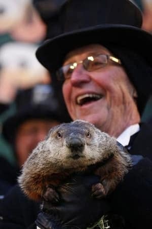 si-groundhog-phil-300-rtr3d9gw