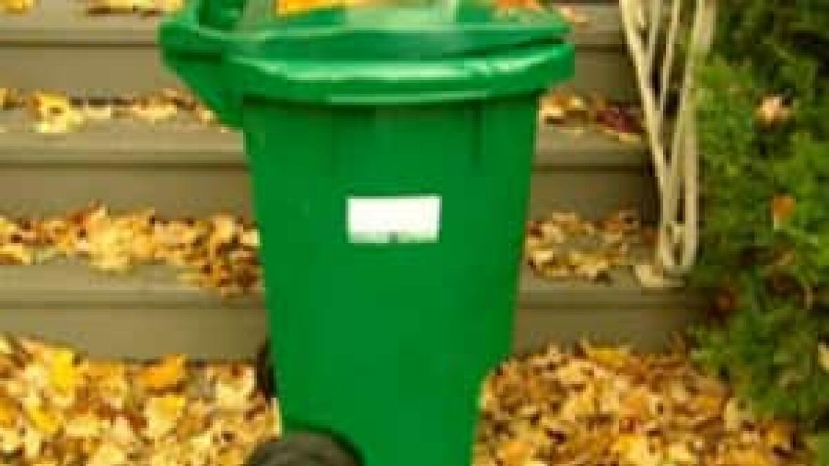 Bigger green bins pondered as city continues composting pilot project Calgary CBC News