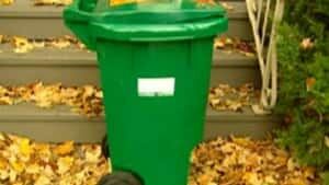 si-cgy-ott-green