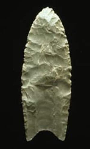 si-clovis-point