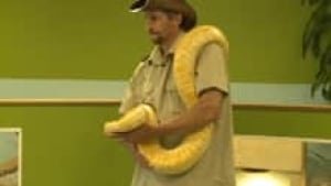 ns-macdonald-snake_220x124_1
