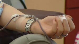 hi-nb-health-blood-donation-852