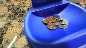 pi-penny-dish-cbc-300