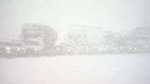 si-yellowhead