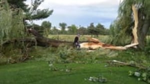 si-ott-pineview-golf-tree-2
