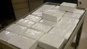 in-cocaine-police