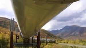 hi-bc-121004-pipeline-al-grillo-ap-3col