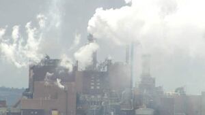 northern-pulp-852