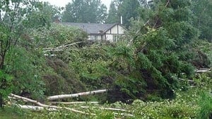 hi-twister-damage-852-4col