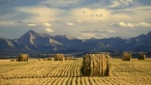 si-alberta-scenic-300