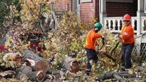 mi-sandy-kingston-cp-035064