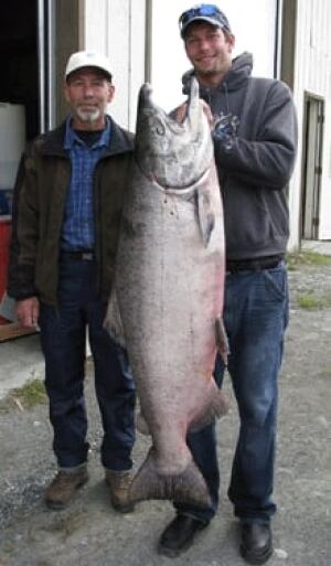 si-salmon-catch