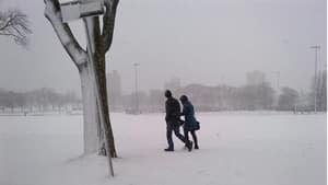mi-ns-couple-winter-storm