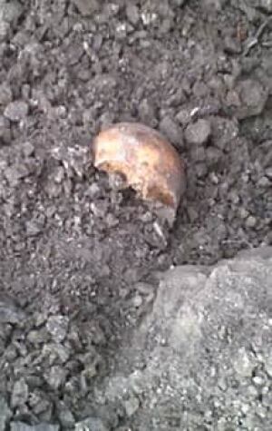 si-skull-220-cp