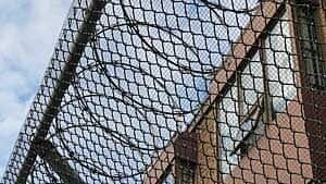 barbed-wire-300--cbc-dsc002