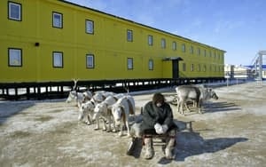 si-300-russia-reindeer-herder-1144149