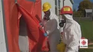 pe-asbestos-removal-300