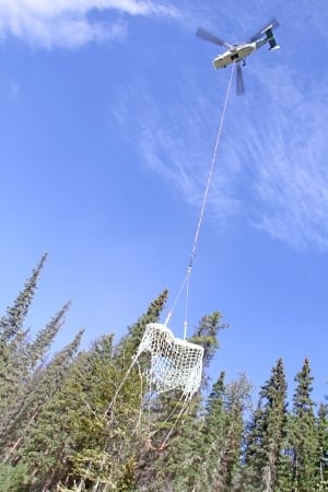 mi-bc-130828-hadrosaur-airlift-tumbler-ridge-mccrea