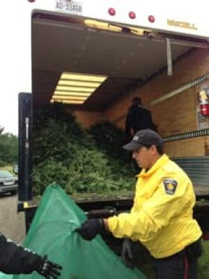 si-richmond-pot-bust-cbc-22