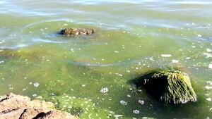 Lake Winnipeg