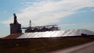 Grain pile