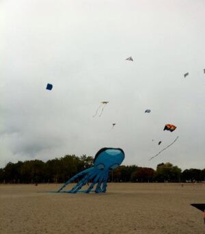 Windfest 2013