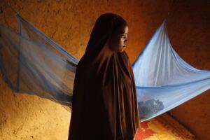 Niger Hunger Brides