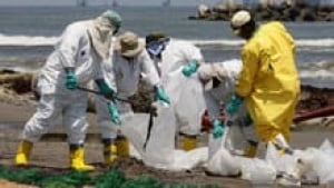 hi-oil-spill-cleanup-ap-3col
