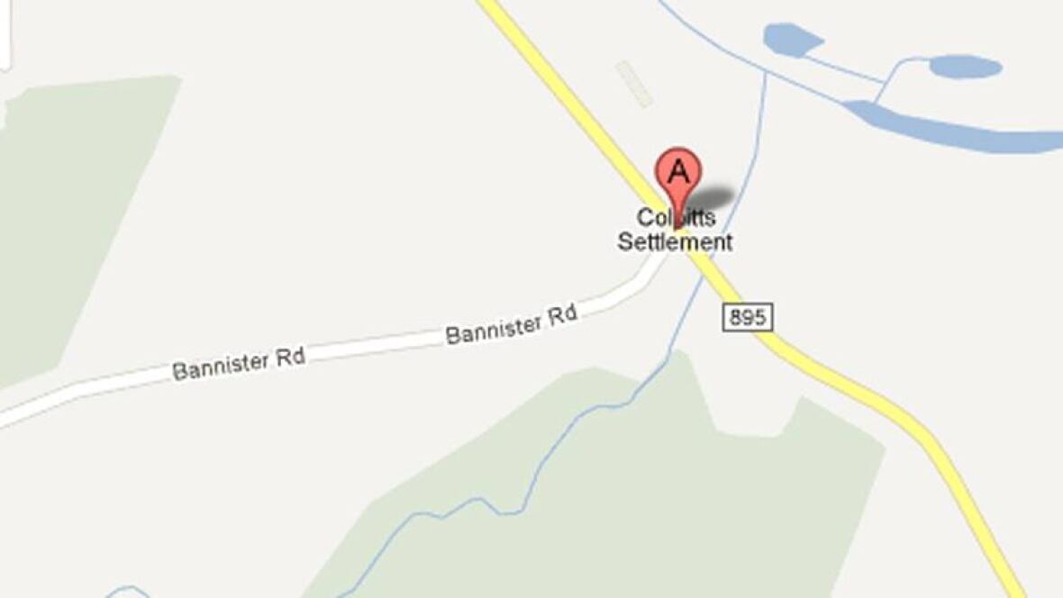 Family dog shot, killed in Colpitts Settlement New Brunswick CBC News