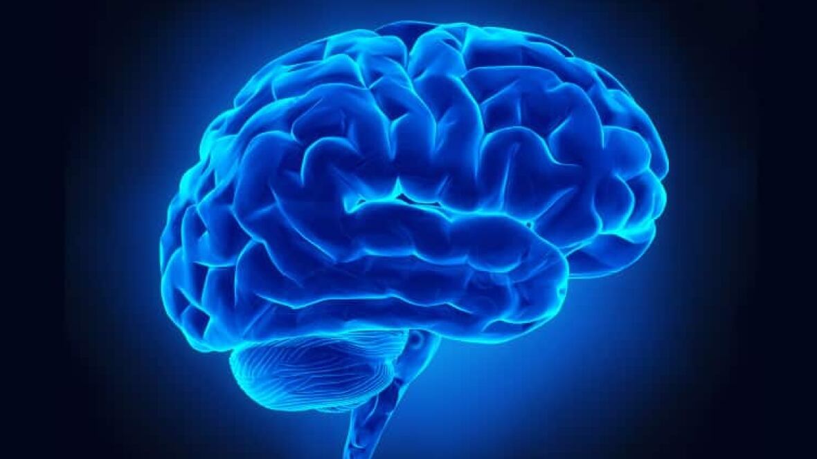 Trauma prompts brain to focus on survival, not \u0026#39;peripheral ...