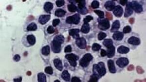 si-pap-test-220-cp-03740225