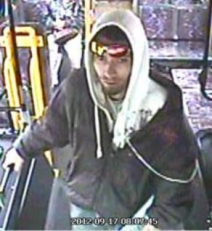 si-service-dog-suspect-wps