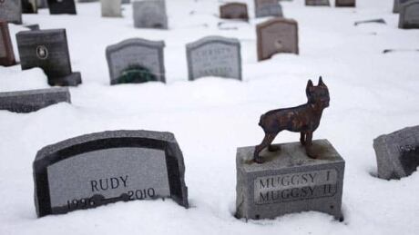li-pet-cemetary03347186