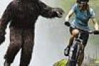 thumb-bigfoot