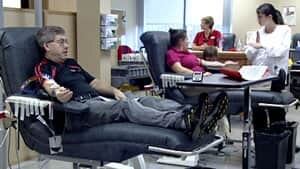 nl-blood-donors-20121115