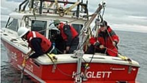 ii-kinglett-dsc_0913_tn