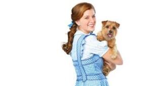 hi-danielle-toto-5col