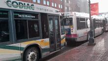 Codiac Transpo bus