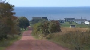 Hampton cottages