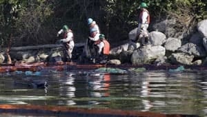 mi-bc-burnaby-oil-spill-cp-3347619