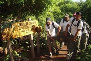 mi-tortoise-evacuation-300-