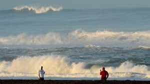 tsunami-us-300-cp00313420