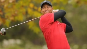 woods-tiger-101205