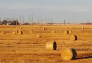 sm-220-saskatchewan-wheat-farm-9809679